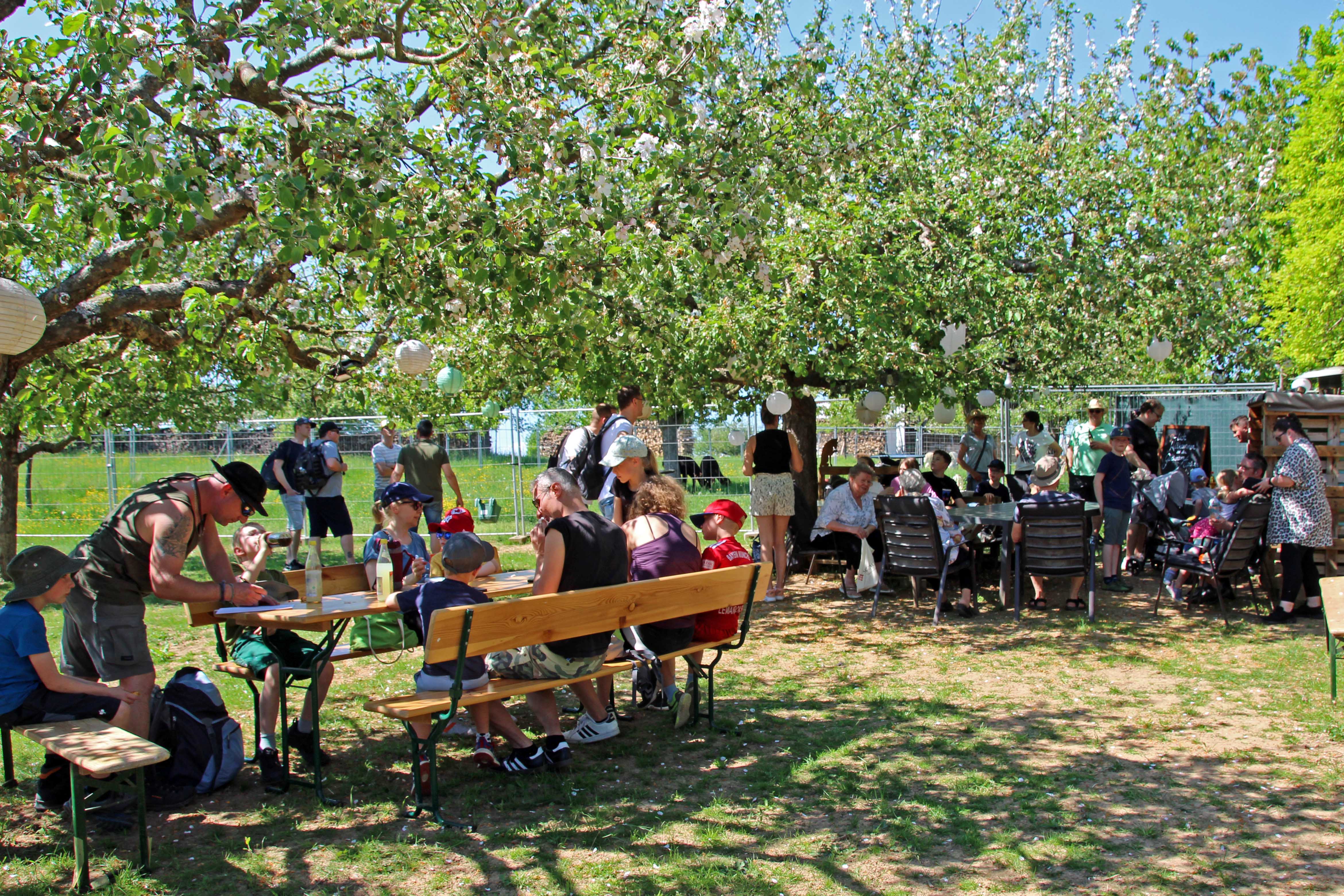 Auf einer Wiese unter blühenden Bäumen sitzen etliche Menschen und machen Picknick.