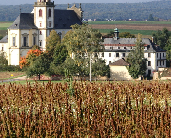 Die Wallfahrtskirche Fährbrück von Nordosten aus gesehen aus der Ferne. Neben der Wallfahrskirche ist das ehemalige Klostergebäude. Im Vordergrund sind Felder.