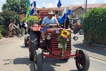 Ein roter Oldtimer-Traktor mit einer Sonnenblume auf der Motorhaube fährt vorbei.