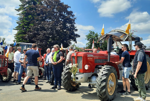 Blick auf eine Reihe geschmückter Oldtimer-Traktoren.