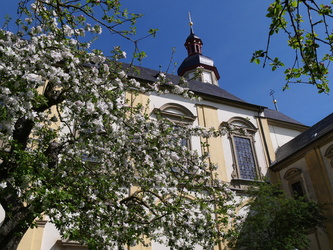 Blick auf die Wallfahrtskirche mit blühenden Bäumen im Vordergrund