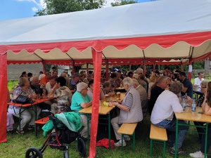 Blick auf Bierbänke und -tische an denen viele Menschen mit einem Glas Bier sitzen.