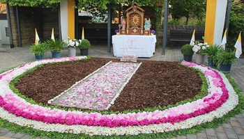 Ein Blumenteppich vor einem Altar